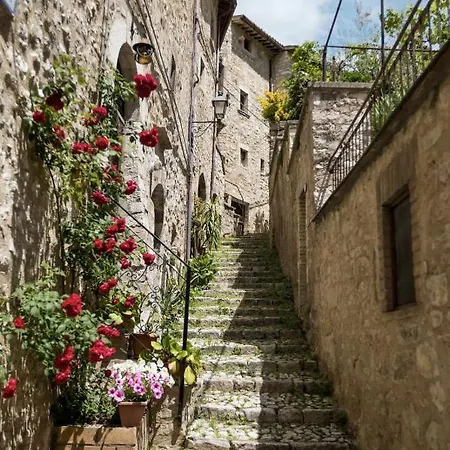 Il Tripode - Le Dimore Del Bordone *