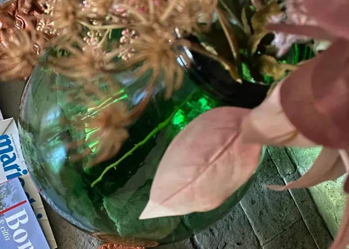 Il Tripode - Le Dimore Del Bordone Apartment *